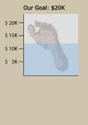 2009 Mud Run Goal
