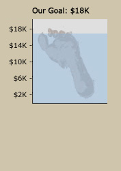 2010 Mud Run Goal