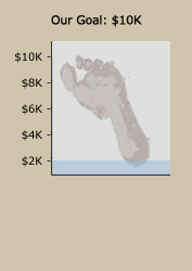 2011 Mud Run Goal