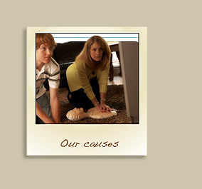 our causes